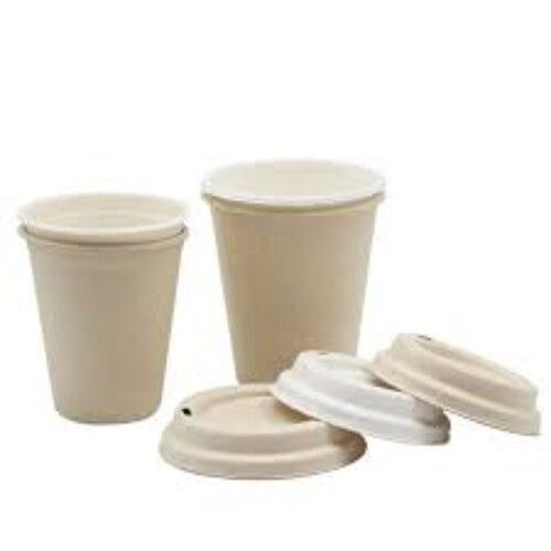 Sugarcane Bagasse Cup