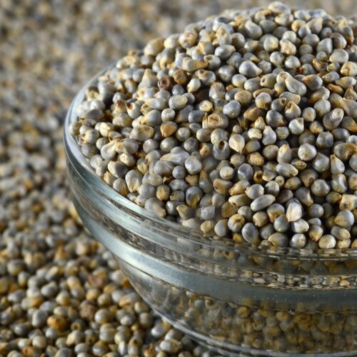 Bajra Millets