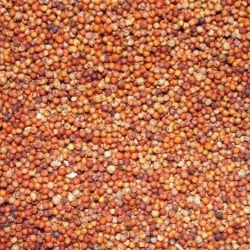 Ragi Millets - Admixture (%): A   1%