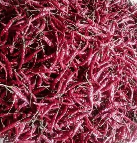 Red Chilli - Organic Cooking Variety, Good Grade, Optimum Quality, Long Shelf Life (6 Months) | Steamed, Moisture: 1%, Preserving Compound: 222