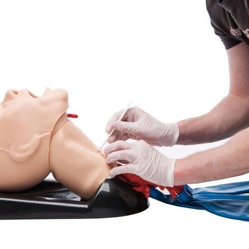 Airway Management Head Adult