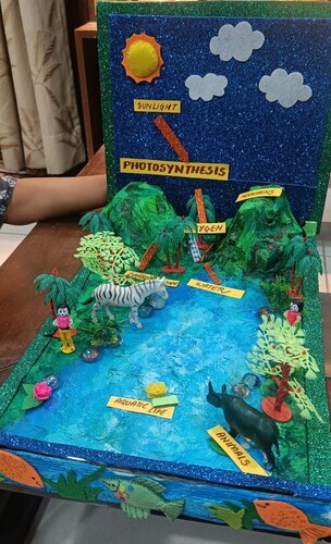Bio Models