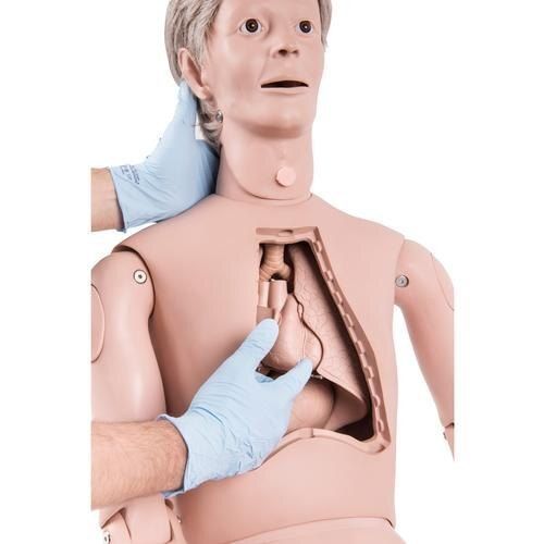 Easy To Use Human Body Nursing Manikins