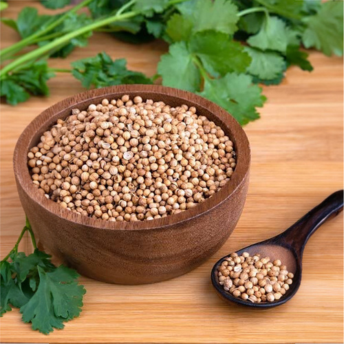 coriander Sheed