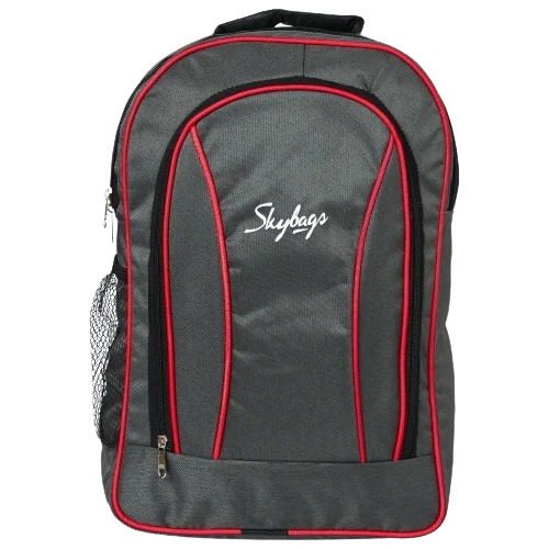 Grey Kids School Bag - Polyester 25L Capacity Grey Color | Unisex Casual Backpack Moisture Proof 2 Zip Closure