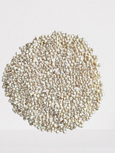 Natural Premium Milky White Sorghum