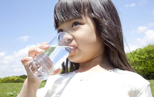 Glass Water Bottle