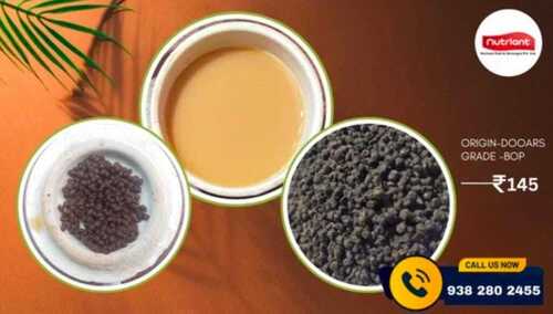 Black Blend Ctc Tea