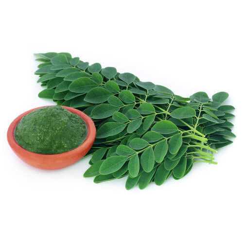 Natural Premium Green Moringa Leaves