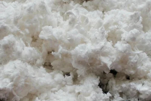 cotton pulp