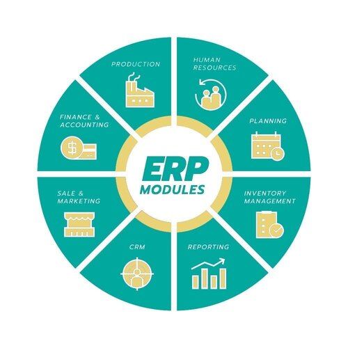 Erp Consultancy Services