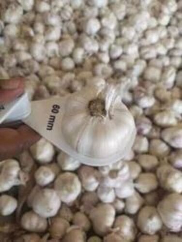 Raw Garlic