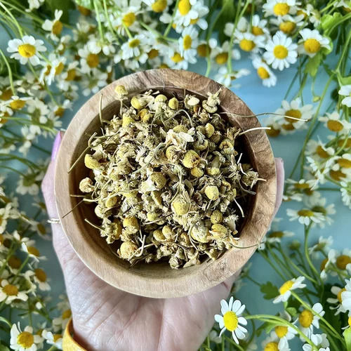 Aromatic Dried Chamomile Flowers