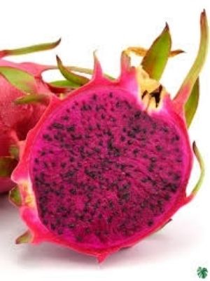 Healthy And Nutritious Dragon Fruit