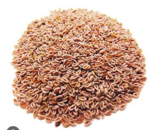 psyllium seeds