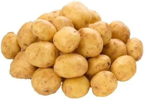 Fresh And Natural Organic Potato