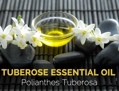 Safe and Natural Pure Tuberose Essential Oil