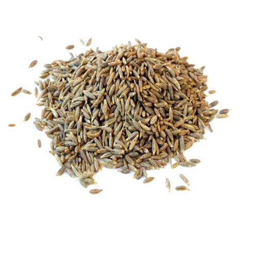 Organic Cumin Seed - Color: Green