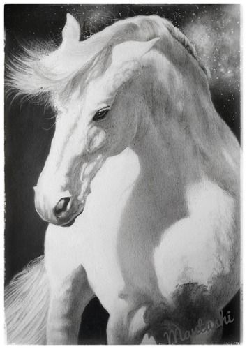 12 x 17 inches Vastu Specific Horse Painting