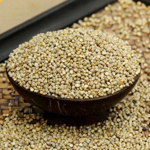 Natural Taste And Good In Vitamins Pearl Millet