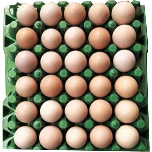 Organic Eggs