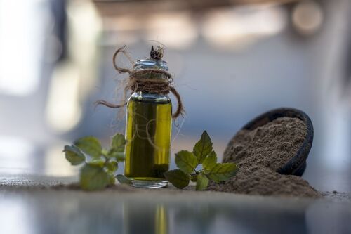 Pure Brahmi Essential Oil