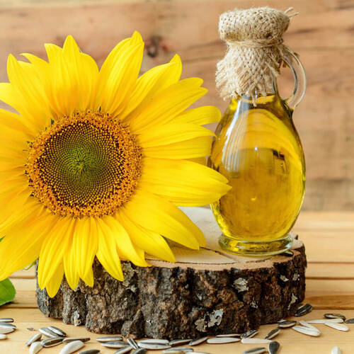 Sunflower Oil - 100% Pure Cold Pressed Fractionated Oil | Long Shelf Life Easy to Digest Hygienically Packed Committed Delivery