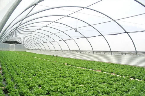 Water Proof Agricultural Clear Poly Film