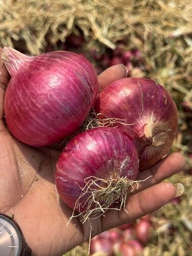 Natural Fresh Fresh Onion 