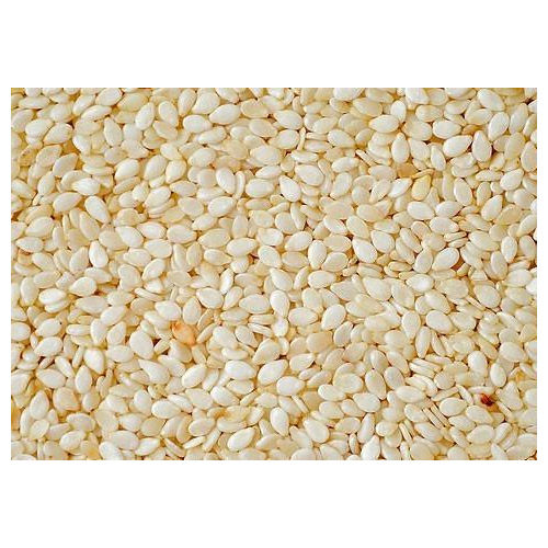 Good Quality White Sesame Seeds