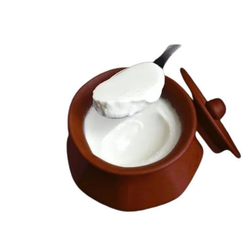 Curd - 100% Pure, A Grade Quality | Fresh Liquid, Preservative-Free, Highly Nutritional, Rich In Calcium, Potassium & Vitamins