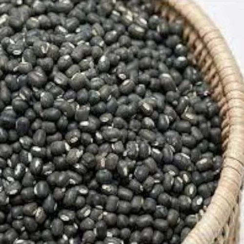 Black Urad Dal - Organic Whole Dried Lentils | Fresh Pulse Style, Rich Black Color