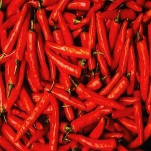 Curved Red Chilli