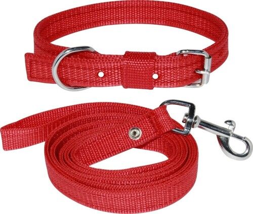 Nylon Dog Collar - Color: All