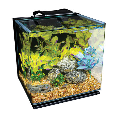 Eco Friendly Durable Modern Glass Aquarium