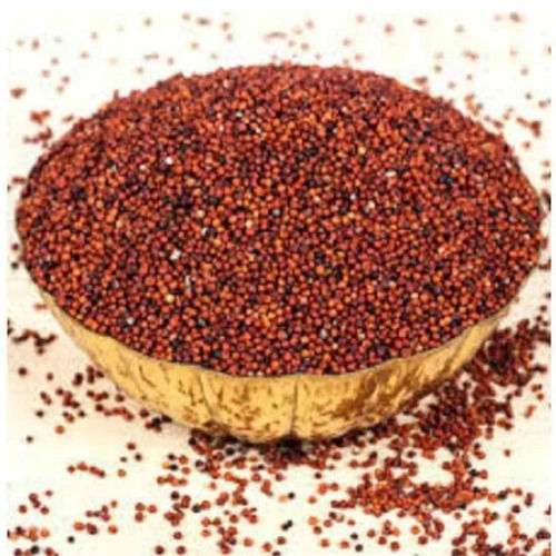 Dried Finger Millet Seeds