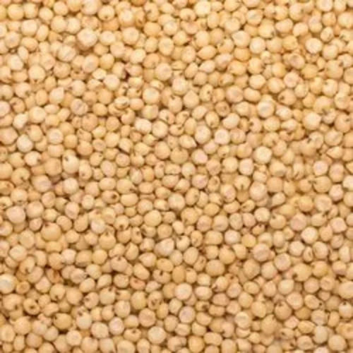 Whole Sorghum Seed