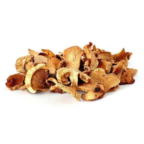 Low In Calories And Rich In Protein Brown Dry Oyster Mushroom