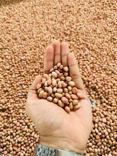 Organic Java Peanuts - Grade: A