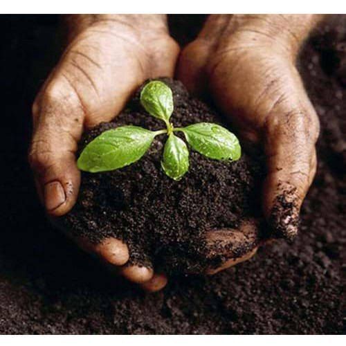 Bio Organic Manure