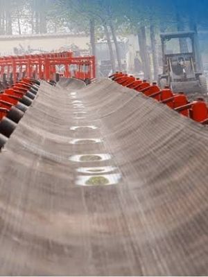 Roller Belt Conveyor