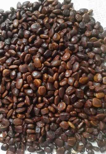 Tamarind Seeds - Color: Brown