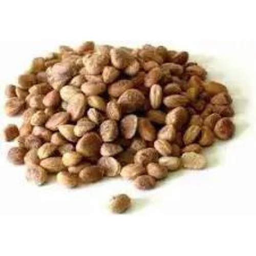 Charoli chironji nuts, Almondette