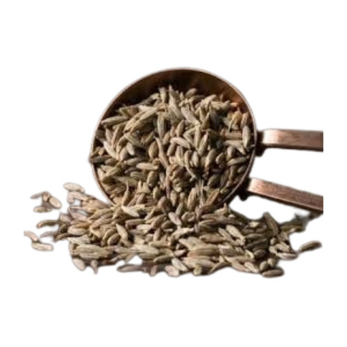 Cumin Seed - Food Grade Fresh Seeds | Rich in Taste, Healthy and Nutritious