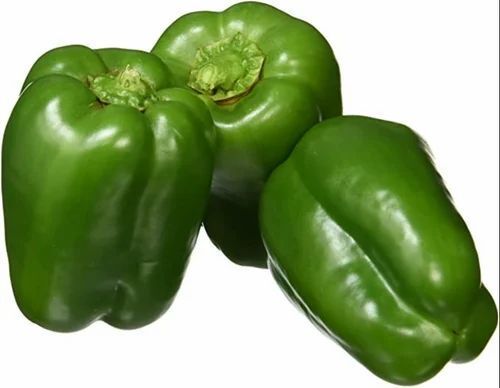 Green Capsicum - Moisture (%): Na