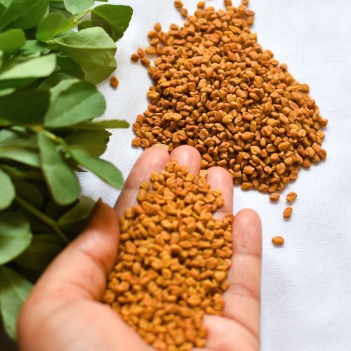 Fenugreek Seeds