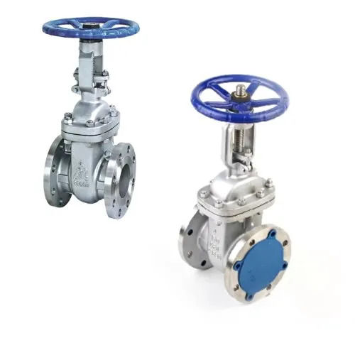 SS Gate Valve