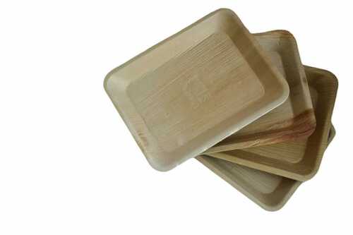 Biodegradable Areca Leaf Plate