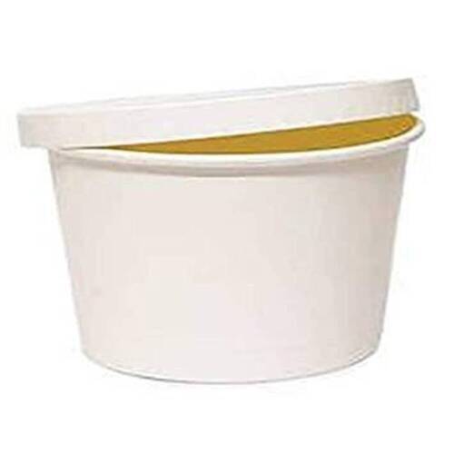 Disposable Food Container