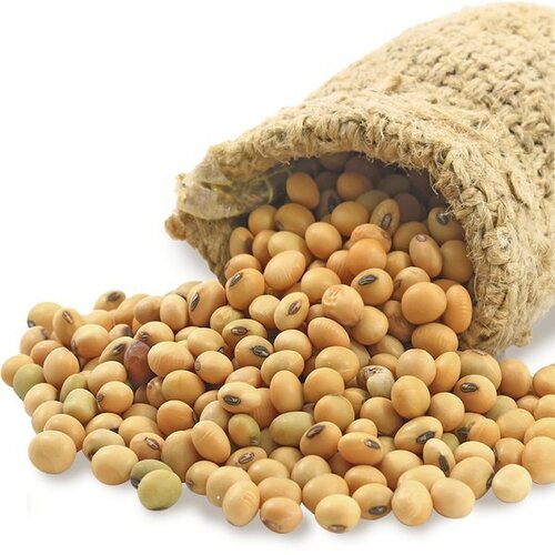 Soya Bean - Grade 2 Non-gmo Yellow Soybean, 18.5% Oil Content, 14% Moisture Max, 100% Purity, Dried Oval Shape, Packaged For Convenience